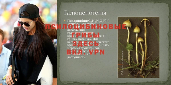соль курить ск Алексеевка