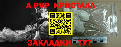 стаф Бийск