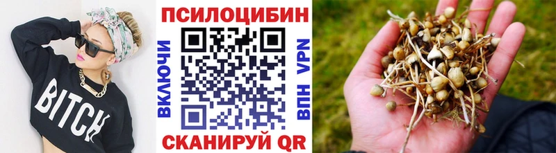 Псилоцибиновые грибы Cubensis  omg рабочий сайт  Белорецк  магазин  наркотиков 