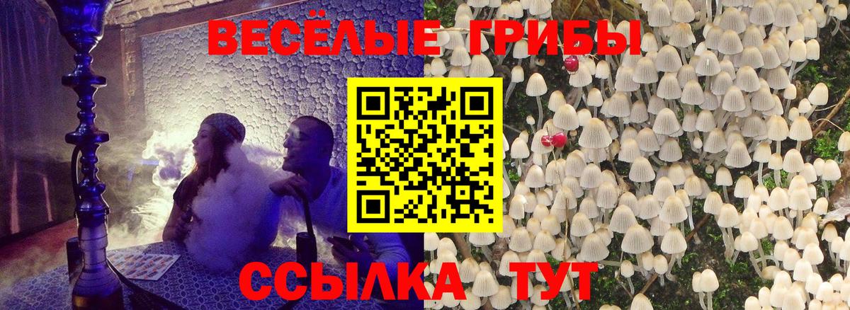 Белорецк  Псилоцибиновые грибы GOLDEN TEACHER  Вход с VPN 