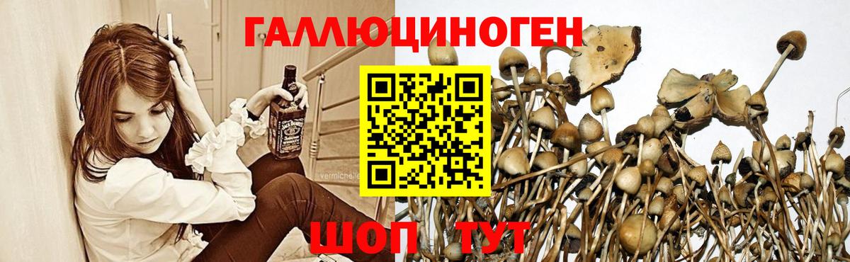 Псилоцибиновые грибы мицелий Белорецк